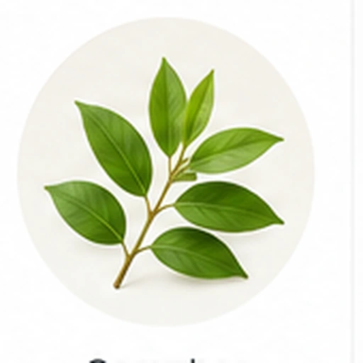 Camphor fragrance ingredient