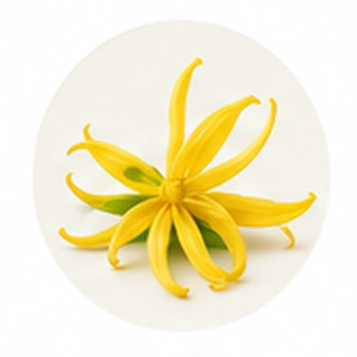 Ylang-Ylang fragrance ingredient